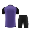 Alemanha T-Shirt Fatos de Treino 2024-25 Púrpura