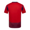 Camisola Futebol Costa Rica Copa America 2024 Principal Homem Equipamento