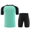 Chelsea FC T-Shirt Fatos de Treino 2023-24 Verde