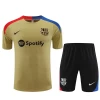 FC Barcelona T-Shirt Fatos de Treino 2024-25 Gold