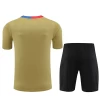 FC Barcelona T-Shirt Fatos de Treino 2024-25 Gold