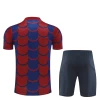 FC Barcelona T-Shirt Fatos de Treino 2024-25 Vermelho Azul Camo