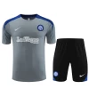 Inter Milan T-Shirt Fatos de Treino 2024-25 Cinza