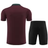 Paris Saint-Germain PSG T-Shirt Fatos de Treino 2024-25 Vermelho
