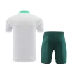 Portugal T-Shirt Fatos de Treino 2024-25 Branco