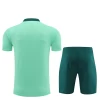 Tottenham Hotspur T-Shirt Fatos de Treino 2024-25 Light Verde