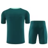 Tottenham Hotspur T-Shirt Fatos de Treino 2024-25 Verde